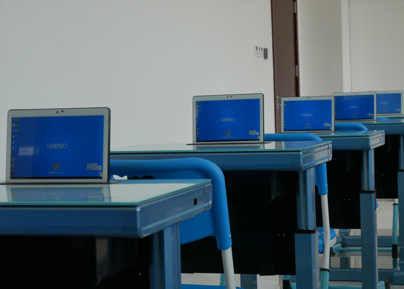 某某小学学校案例